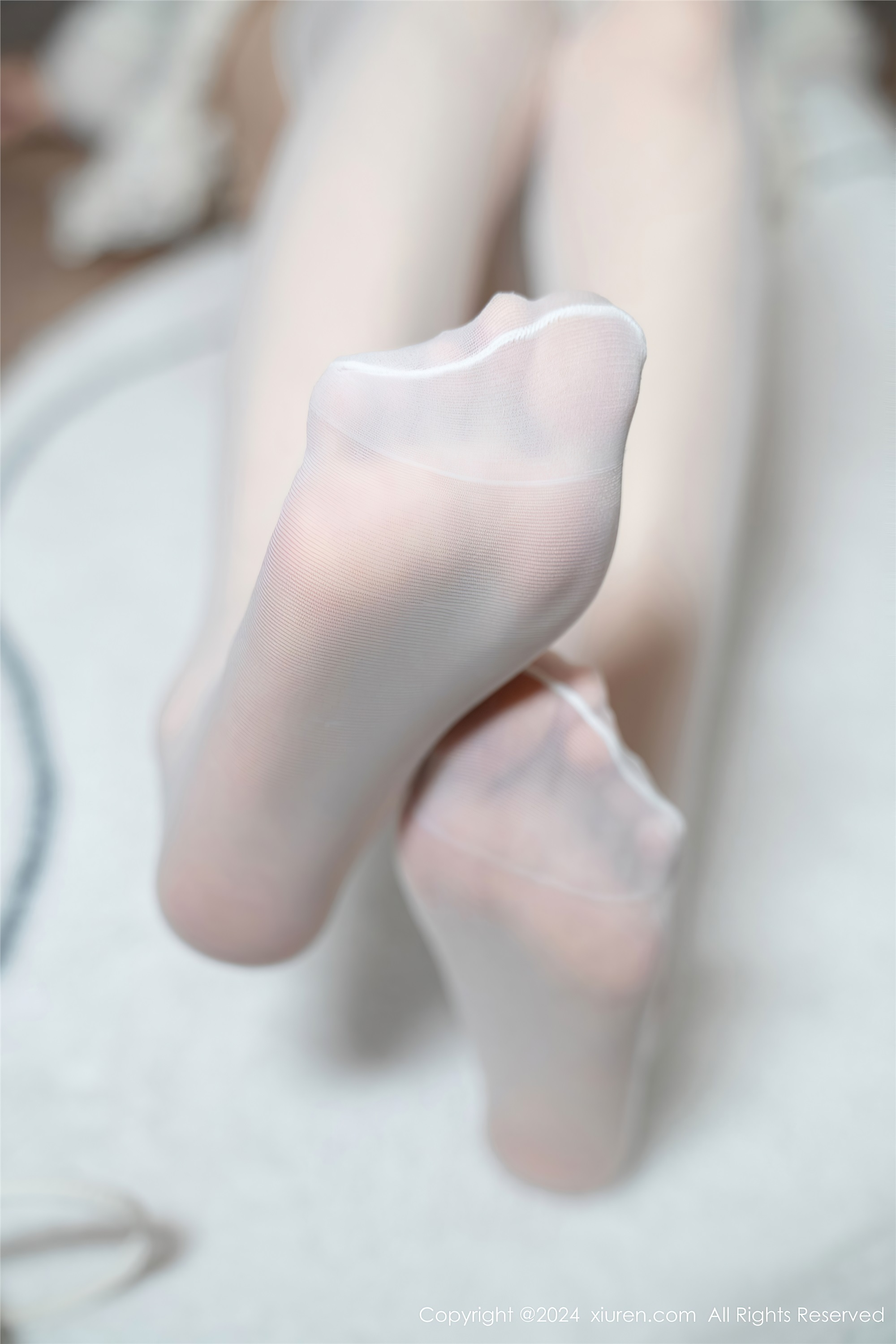 Xiuren秀人网 2024.12.25 NO.9658 林星阑